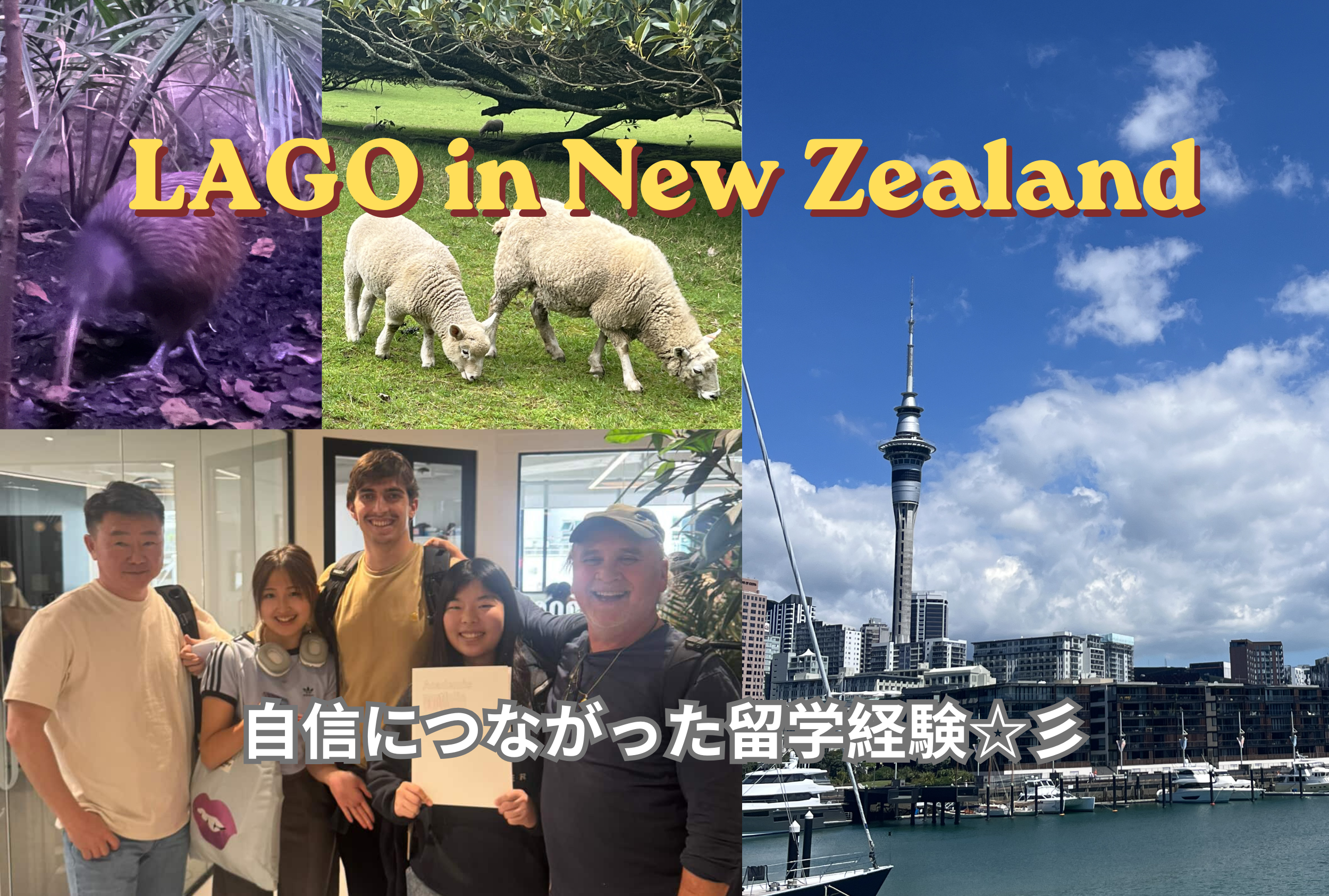 ☆LAGO in New Zealand☆